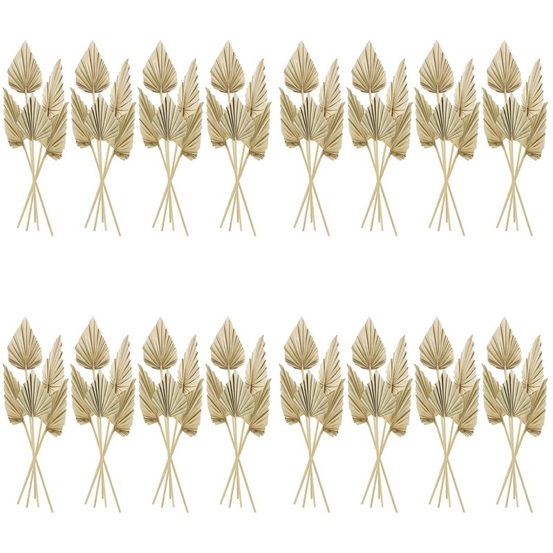 Palm Leaf Dried - 80 قطعة من أوراق النخيل المجففة