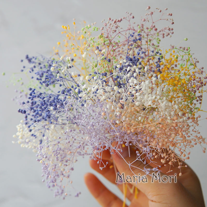 Baby Breath Dried - 5 جرام/الطفل الصغير التنفس المجففة الحفاظ