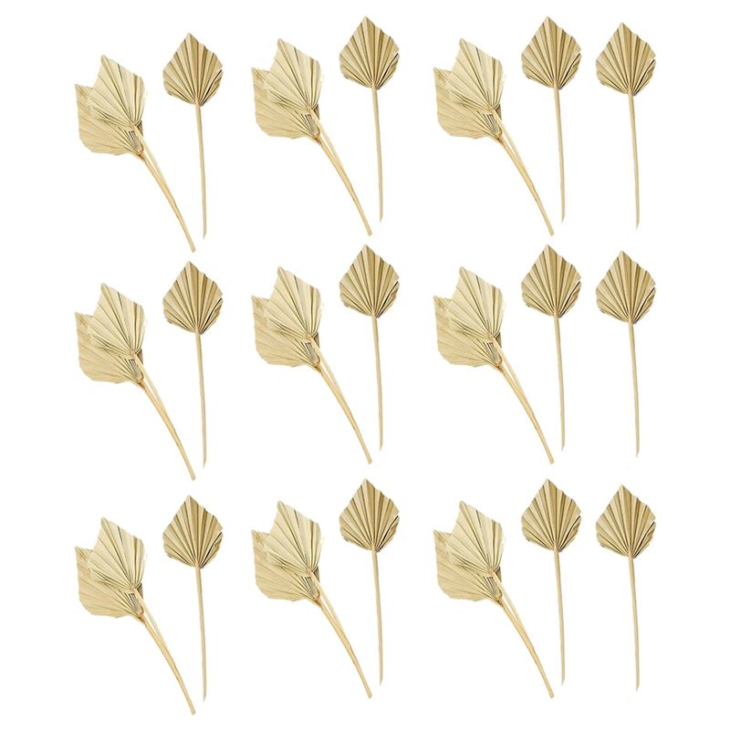 Palm Leaf Dried - A36T-30 قطعة من أوراق النخيل المجففة