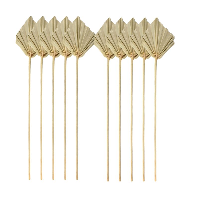Palm Leaf Dried - A04G- ريش نخيل مجففة صغيرة طبيعية