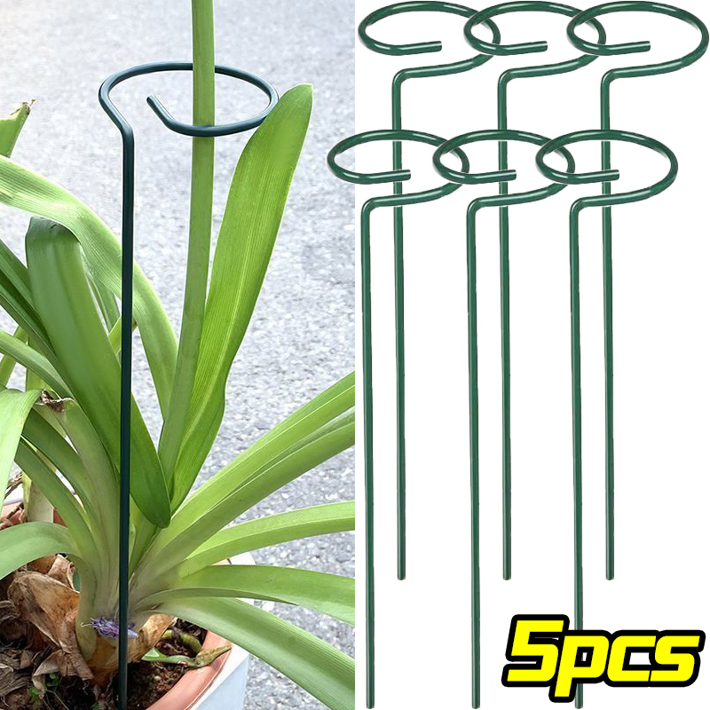 1/10 قطعة حديقة دعم حصة حلقة م - مراجعة Florist Supply Bulk وسعره