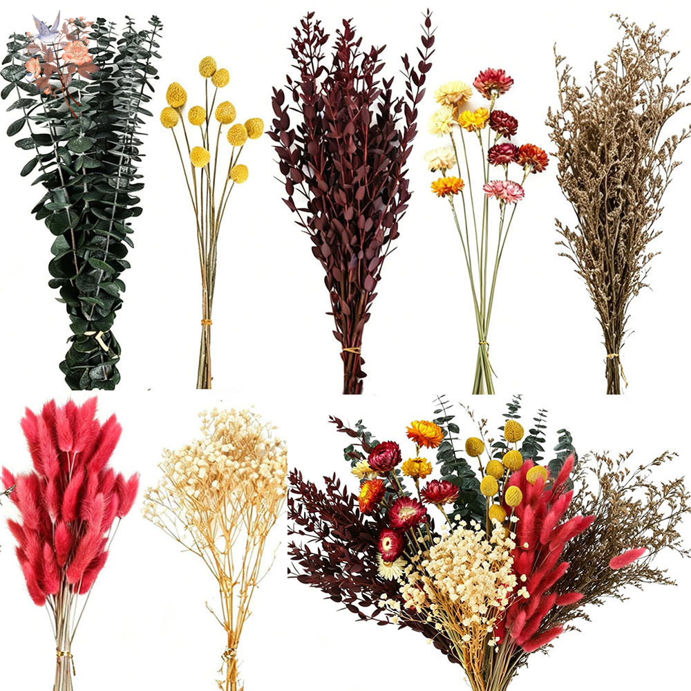 مجموعة كبيرة من الزهور المجففة - مراجعة Florist Supply Bulk وسعره