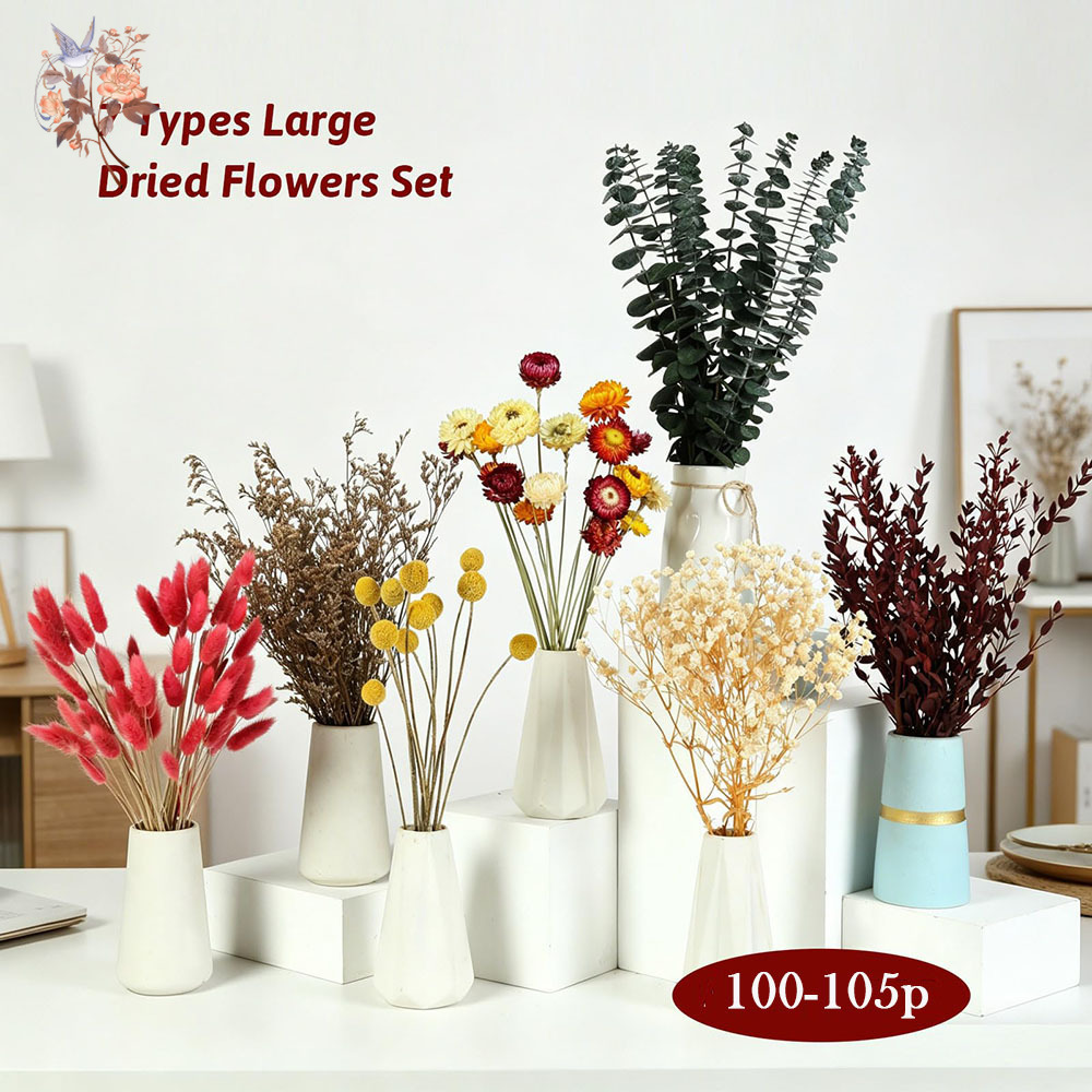 مجموعة كبيرة من الزهور المجففة - مراجعة Florist Supply Bulk وسعره