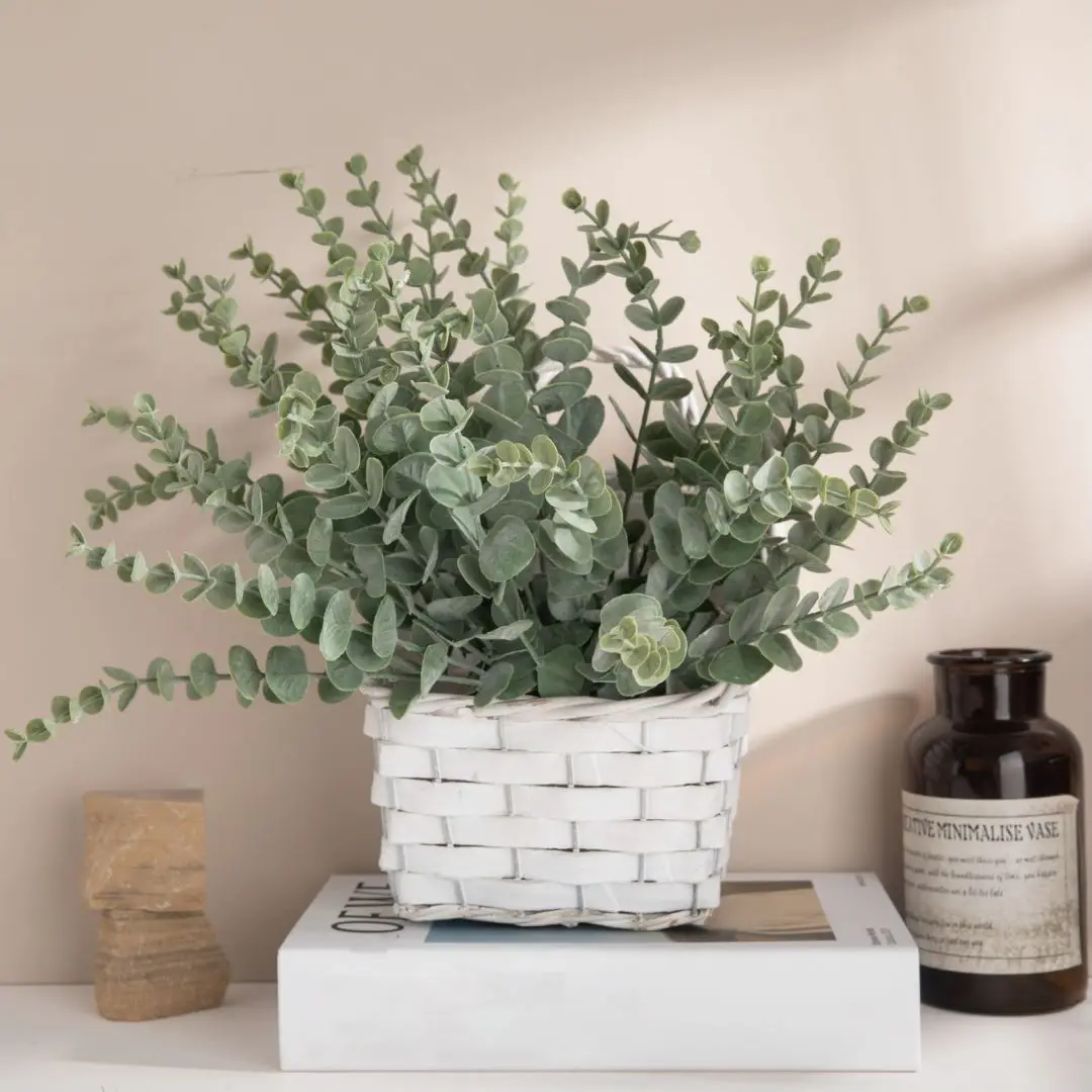 10 قطعة 38 سنتيمتر الأوكالبتوس - مراجعة Florist Supply Bulk وسعره