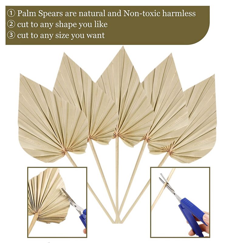 80 قطعة من أوراق النخيل المجفف - مراجعة Palm Leaf Dried وسعره