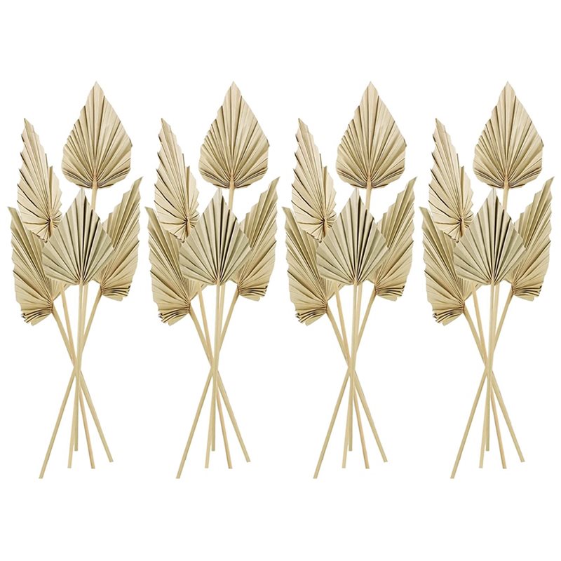 80 قطعة من أوراق النخيل المجفف - مراجعة Palm Leaf Dried وسعره