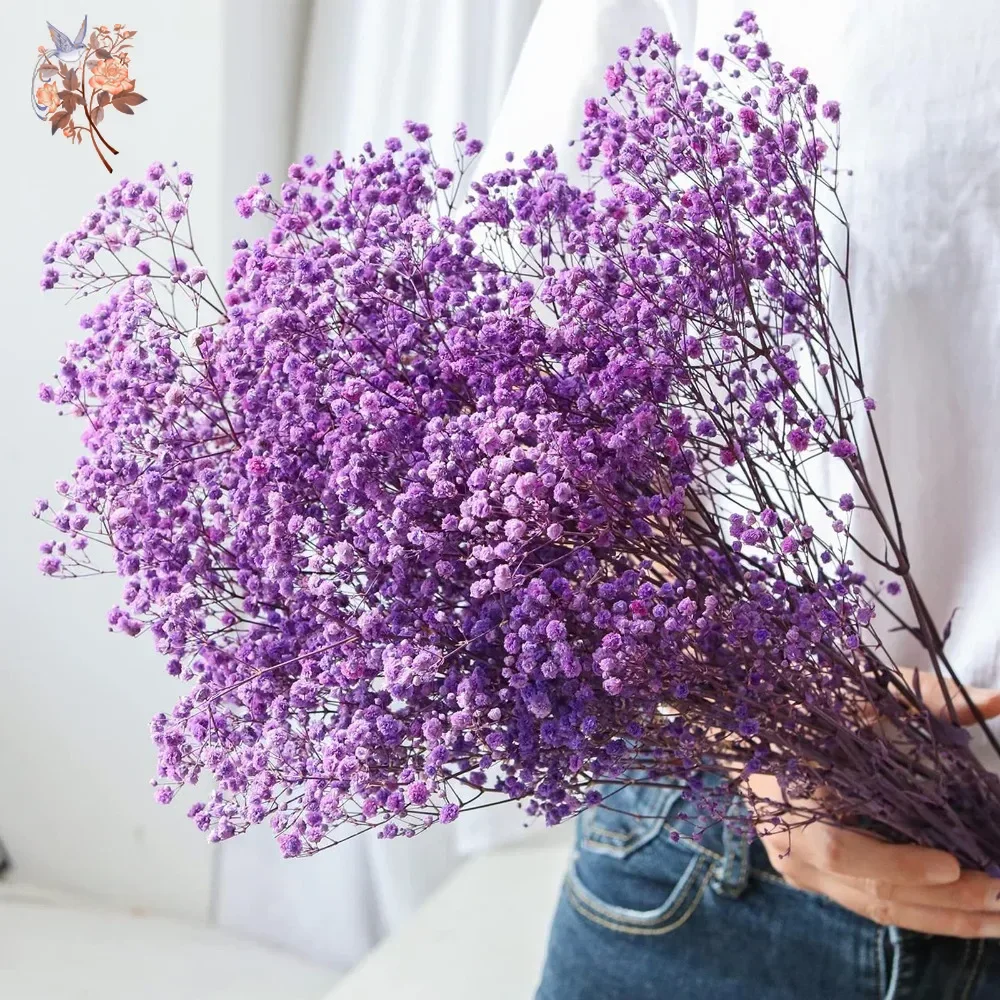 لمسة حقيقية الأرجواني جيبسوفيل - مراجعة Baby Breath Dried وسعره