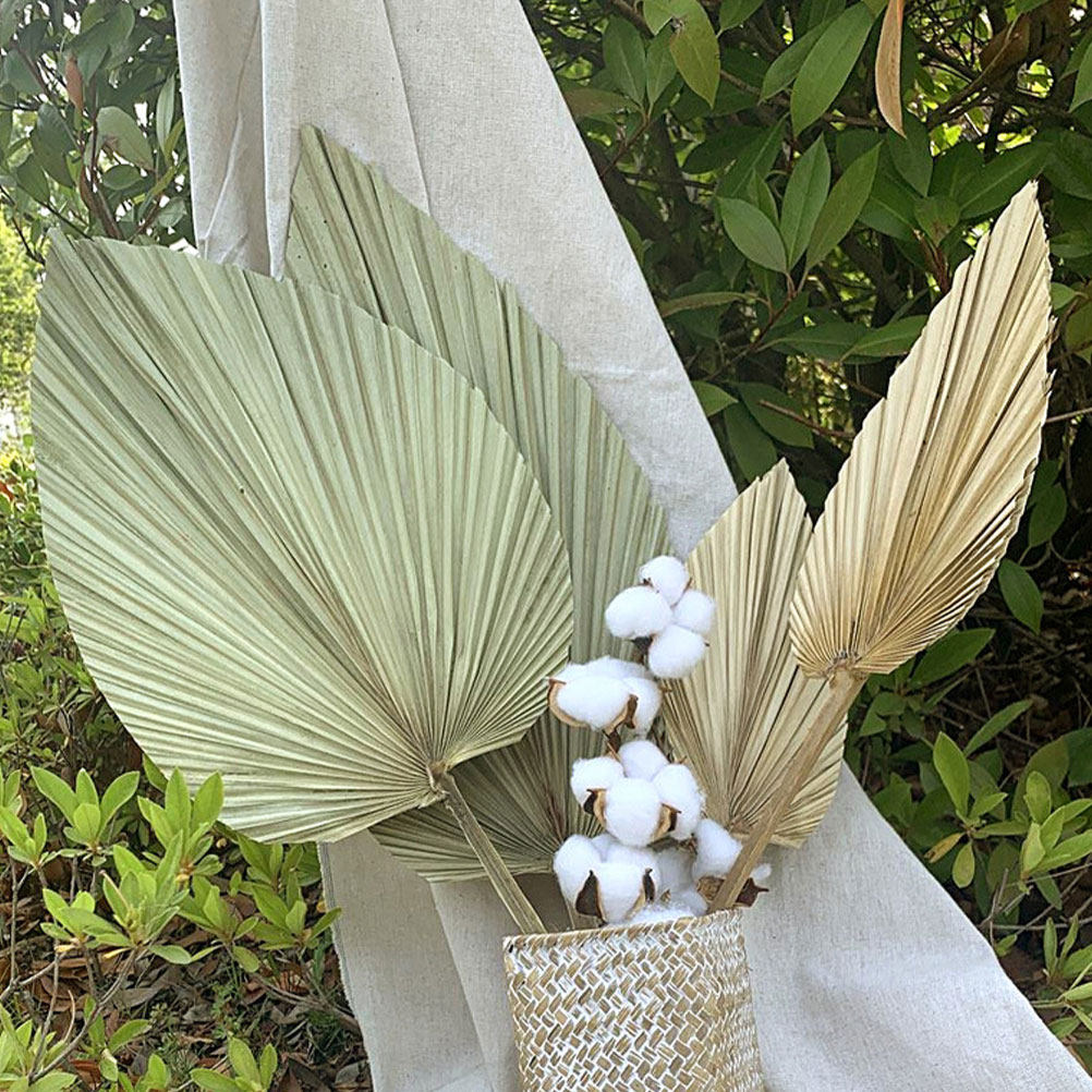 قطعة واحدة من أوراق النخيل الط - مراجعة Palm Leaf Dried وسعره