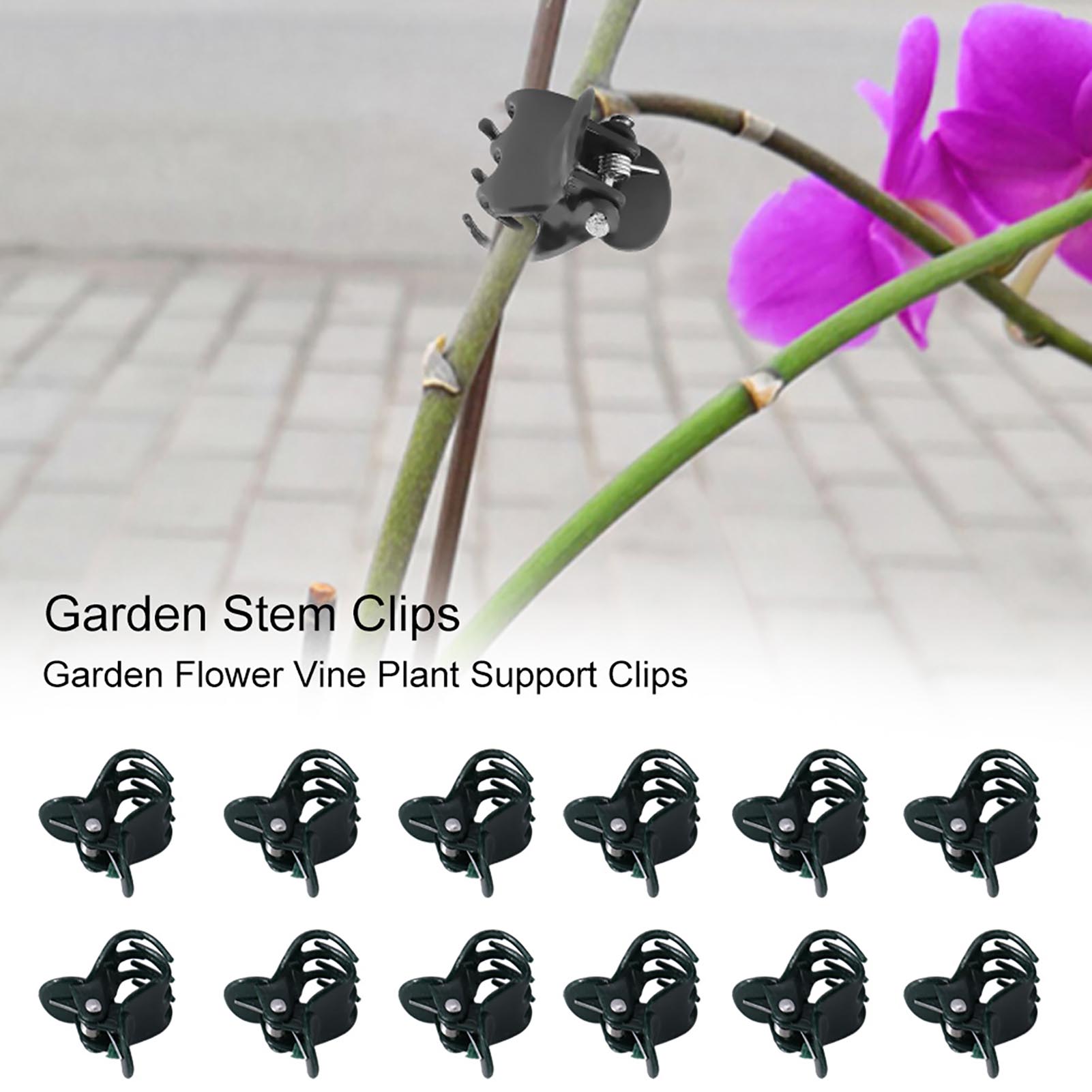100 قطعة مقاطع نباتية صغيرة حد - مراجعة Florist Supply Bulk وسعره
