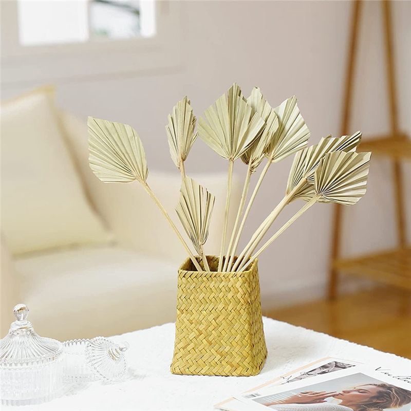 AS60-30 قطعة من شفرات النخيل ا - مراجعة Palm Leaf Dried وسعره