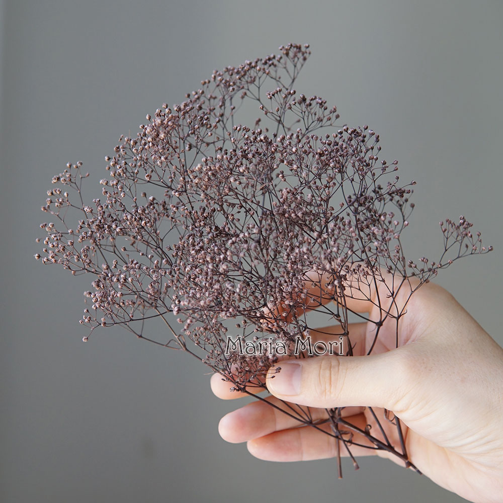 5 جرام/الطفل الصغير التنفس الم - مراجعة Baby Breath Dried وسعره