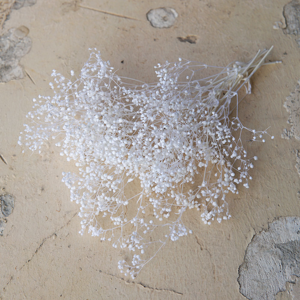 5 جرام/الطفل الصغير التنفس الم - مراجعة Baby Breath Dried وسعره