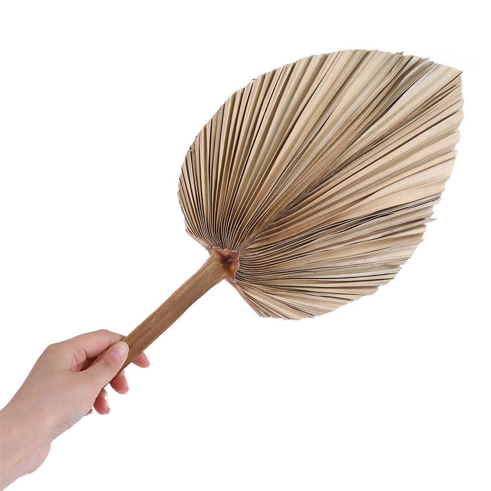 أوراق نباتية مجففة من سهام الن - مراجعة Palm Leaf Dried وسعره