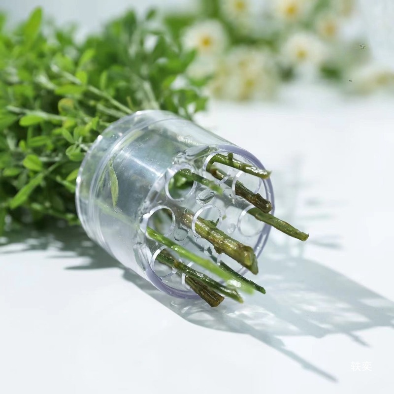 حامل جذع حلزوني، حامل ترتيب ال - مراجعة Florist Supply Bulk وسعره