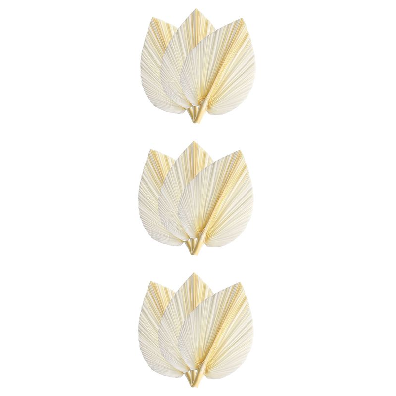 أوراق نخيل بيضاء كبيرة مجففة - - مراجعة Palm Leaf Dried وسعره