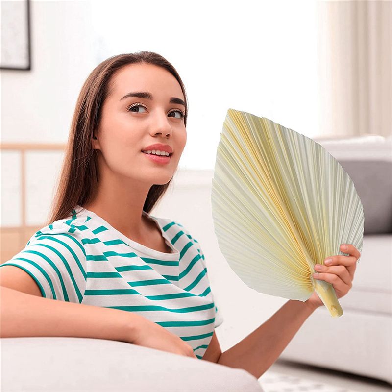 أوراق نخيل بيضاء كبيرة مجففة - - مراجعة Palm Leaf Dried وسعره