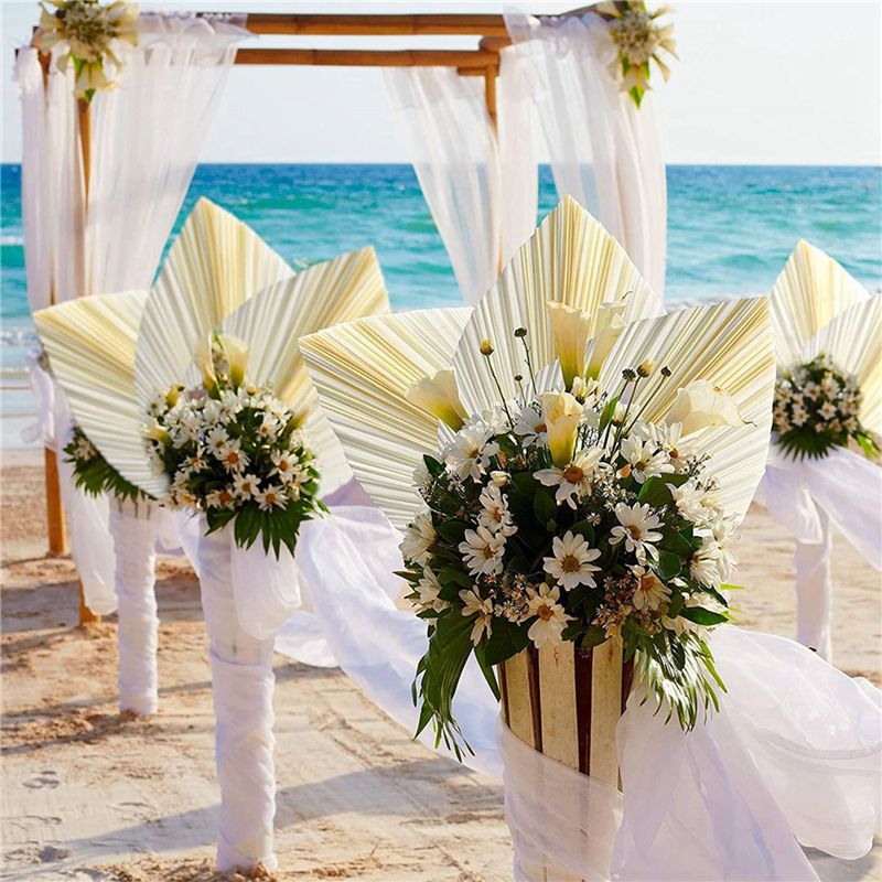 أوراق نخيل بيضاء كبيرة مجففة - - مراجعة Palm Leaf Dried وسعره