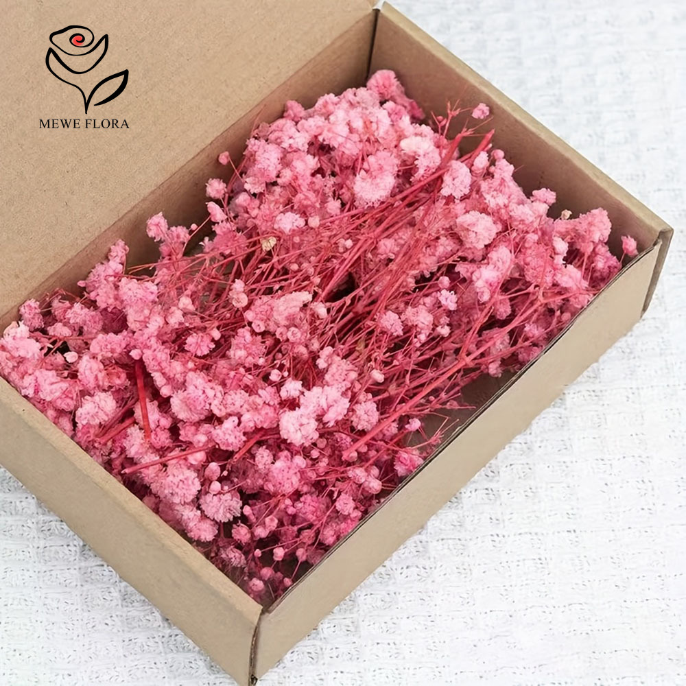 100 فرع صغير زهور تنفس الطفل ا - مراجعة Baby Breath Dried وسعره